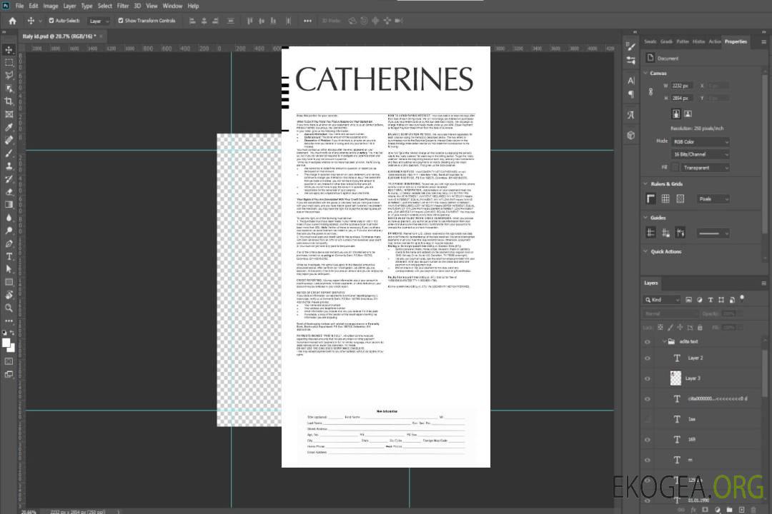 Modèle de déclaration de résultats CATHERINES aux formats Word et PDF.pdf, 2 template Modèle de déclaration de résultats CATHERINES aux formats Word et PDF.pdf, 2 template
